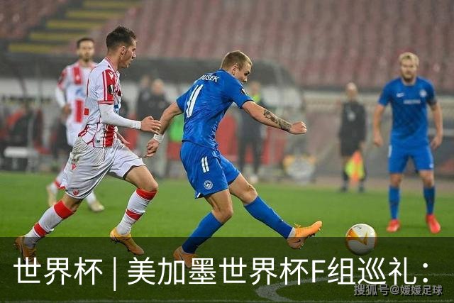 世界杯 | 美加墨世界杯F组巡礼：“死亡之组”的24种排列组合