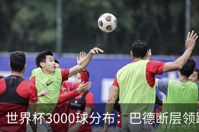 世界杯3000球分布：巴德断层领跑 阿法意西英荷紧追