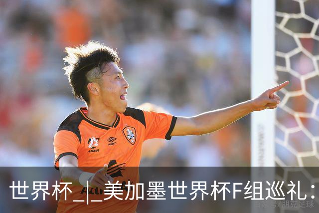 世界杯 | 美加墨世界杯F组巡礼：“死亡之组”的24种排列组合