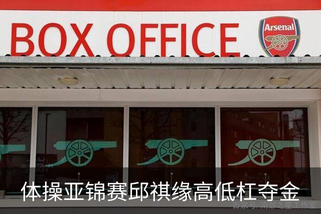 体操亚锦赛邱祺缘高低杠夺金