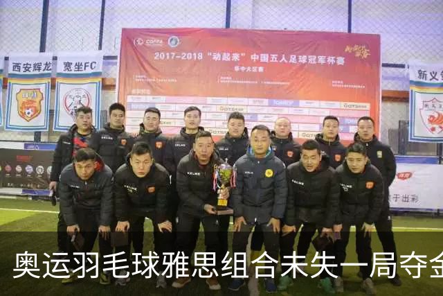 奥运羽毛球雅思组合未失一局夺金 成就混双大满贯