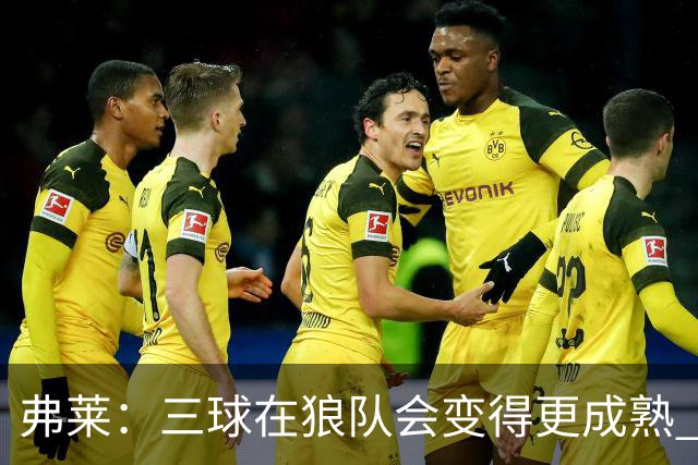 弗莱：三球在狼队会变得更成熟 NBA正式重回三巨头抱团时代