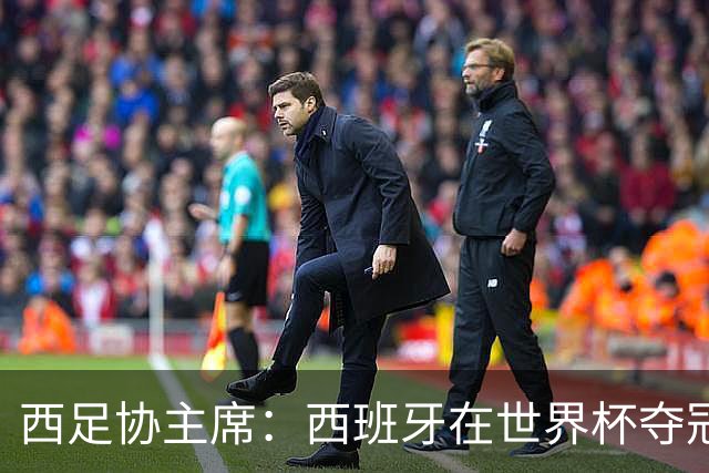 西足协主席：西班牙在世界杯夺冠让足球伸张了正义